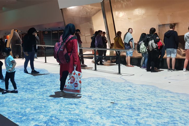 sealife-penguin-room-interactive-floor-001