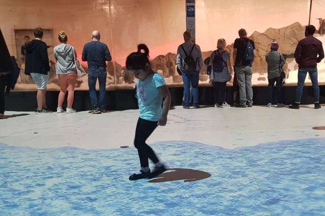 sealife-penguin-room-interactive-floor-003