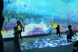sealife-wonder-room-interactive-room-002