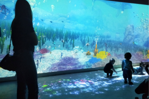 sealife-wonder-room-interactive-room-003