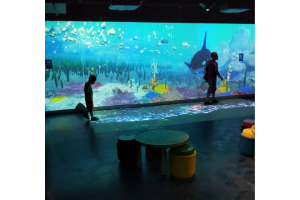 sealife-wonder-room-interactive-room-004