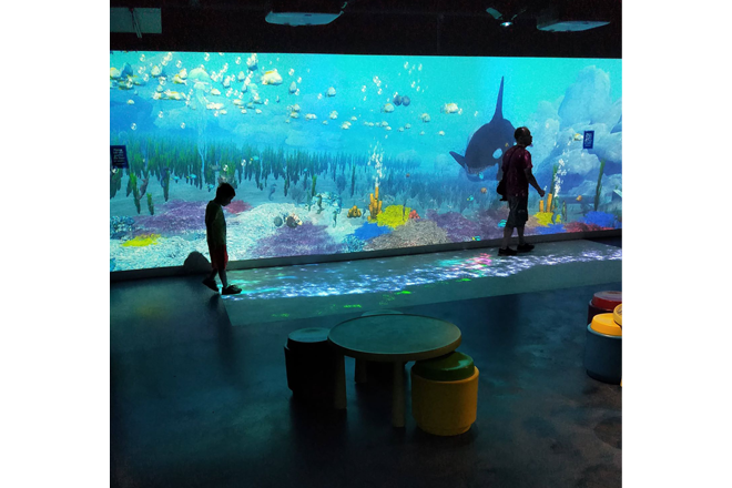 sealife-wonder-room-interactive-room-004