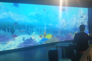 sealife-wonder-room-interactive-room-005
